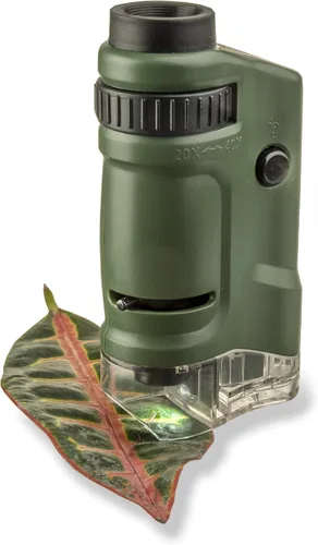 Vista 8 de Carson MicroBrite - Microscopio de bolsillo con luz LED 20x-40x para aprender, educar y explorar, juego de 6 (MM-24MU)
