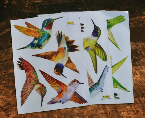 Vista 6 de Calcomanías anticolisión para ventana de alerta de pájaros, para evitar golpes de pájaros en el cristal de la ventana, juego de 12 colibríes