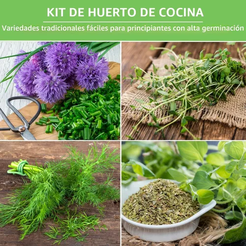 Vista 3 de Paquete variado de semillas de hierbas 10 hierbas culinarias para plantar – albahaca, cilantro, lavanda, eneldo, perejil, orégano, tomillo
