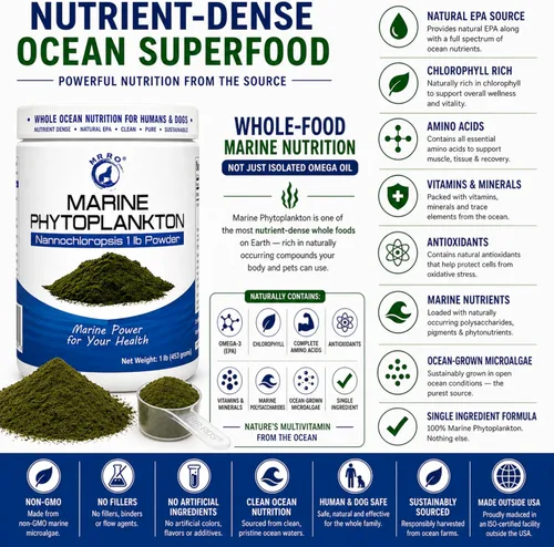 Vista 4 de Polvo de fitoplancton marino de 1 libra - Superalimento oceánico denso en nutrientes para humanos y perros - Fuente natural de EPA - Microalgas