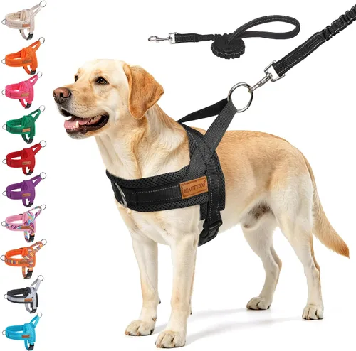 Vista 14 de BEAUTYZOO Arnés para Perros Pequeños, Juego de Arnés y Correa sin Tirones, Arnés de Pecho para Cachorros a Prueba de Escapes con Mango, Arnés Beige