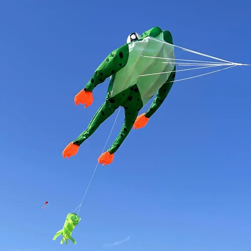 Vista 3 de HENGDA KITE Cometa de rana 3D para adultos, cometas gigantes de parafoil suave sin marco