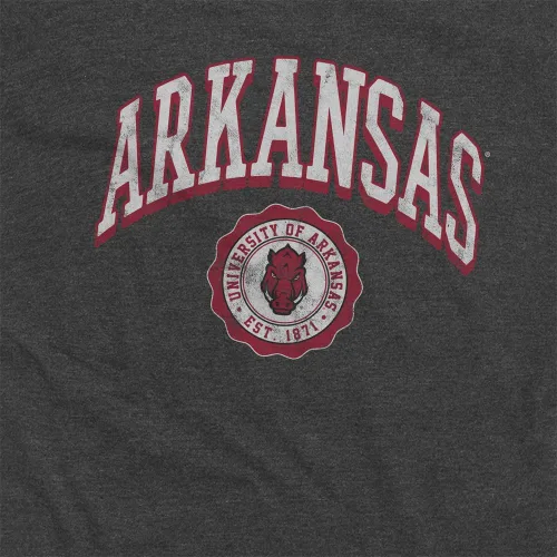 Vista 4 de Campus Lab Official NCAA Classic Seal Collegiate Classic Ring-Spun T-Shirt Unisex for Men & Women Collection