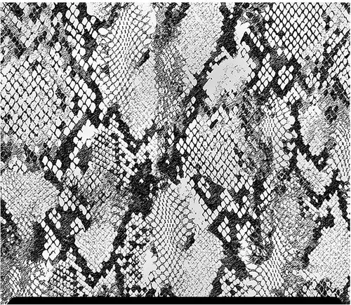 Vista 43 de HTV con estampado de animales (19.66 x 36 pulgadas) - Leopardo arcoíris