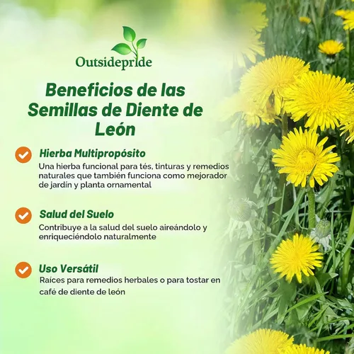 Vista 3 de Outsidepride Semillas de diente de león para plantar: 5,000 semillas perennes, fáciles de cultivar y tolerantes a la sequía, semillas de hierbas