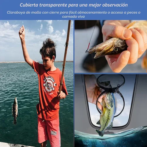 Vista 5 de Cubo de Pesca con Tapa Transparente, Cubo Plegable para Cebo de Pesca, Cubo Multifuncional para Pececillos, Contenedor de Pescado Vivo, Cubo de Negro