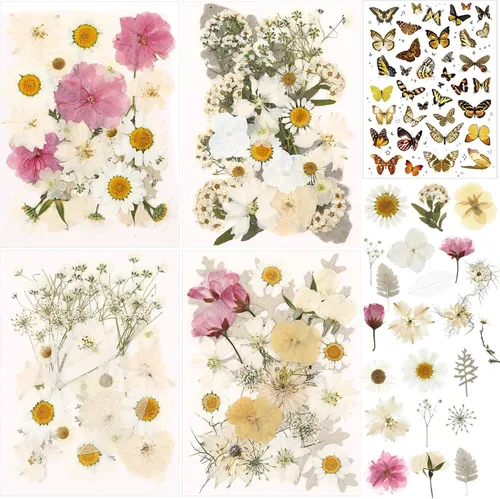 Vista 8 de 160 piezas de flores secas prensadas a granel natural, rosa, rosa