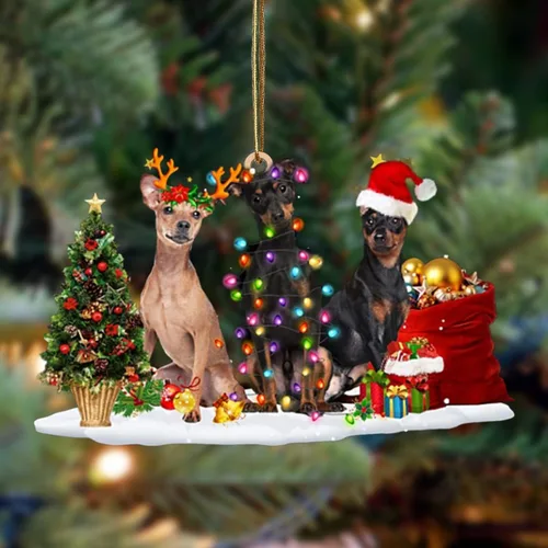 Vista 17 de Nazenti Adorno de Navidad personalizado con amigos Affenpinscher – Adorno de perro personalizado para amantes de las mascotas, acrílico plano