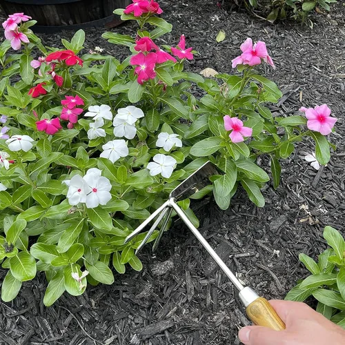 Vista 4 de Garden Guru - Herramienta cultivadora de mano ecológica, 100% acero inoxidable reciclado, resistente a la corrosión, mango ergonómico de madera