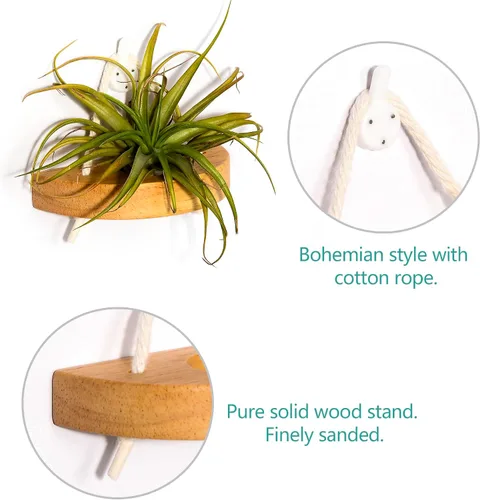Vista 4 de soporte para plantas de aire, pequeño soporte de exhibición para plantas de aire. Montaje en pared para ahorrar espacio, decoración de pared.