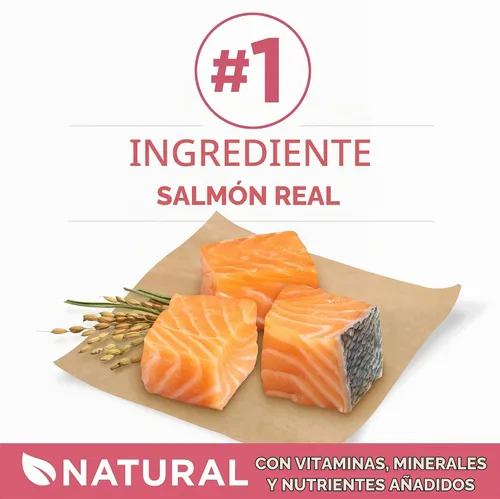 Vista 3 de Purina ONE Plus Skin & Coat - Alimento seco para perros con estómago sensible, bolsa de 8 libras Elaborado con salmón real, con vitamina E