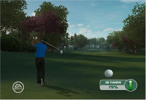 Vista 11 de Tiger Woods PGA Tour 09 All-Play - Nintendo Wii