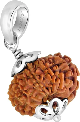 Vista 2 de 13 Mukhi Rudraksha - Colgante de plata 925 Thirteen Mukhi Nepali Rudraksha Cuentas sueltas Rudrakalagni Unisex tanto para hombres como