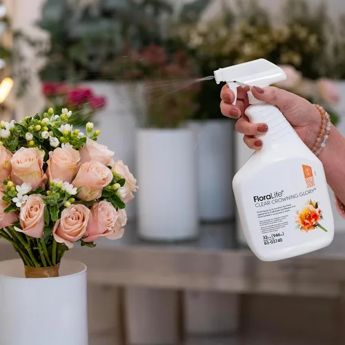 Vista 5 de Crowning Glory - Spray para flores. 32 fl. Oz., Transparente