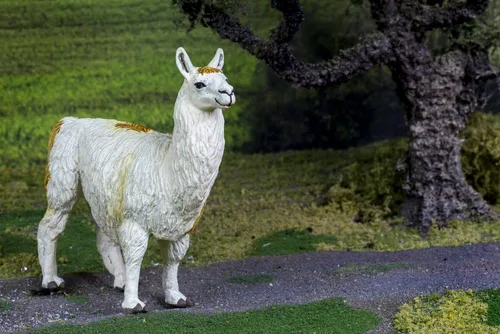 Vista 2 de Safari Ltd. Figura de llama – Figura realista pintada a mano de 4 pulgadas modelo – Juguete educativo y divertido para niños, niñas y niños a partir