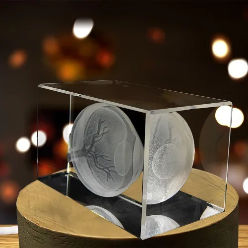 Vista 5 de Arte de ojos para oftalmólogos Recuerdo de cristal grabado en 3D Regalo para médico Coleccionable Recuerdo Regalo personalizado con foto
