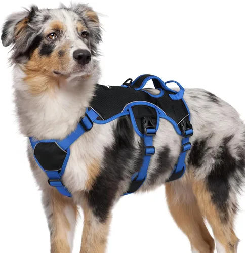 Vista 20 de rabbitgoo - Arnés para perros a prueba de fugas, arnés para mascotas acolchado y suave de cuerpo completo, arnés reflectante ajustable sin tirones