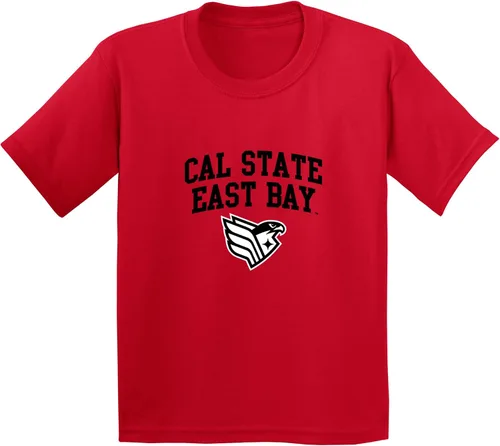 Vista 683 de NCAA Arch Logo, camiseta juvenil color del equipo, universidad - universidad