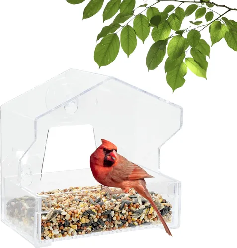 Vista 10 de Perky-Pet 347 Comedero transparente para pájaros con ventosas fuertes, capacidad de semillas de 1 libra