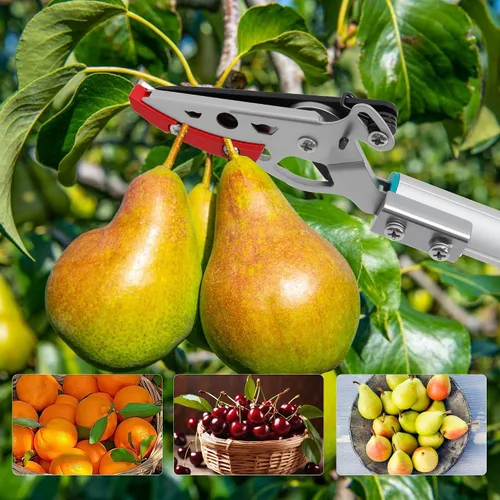 Vista 7 de GARTOL - Podadora de largo alcance con corte y retención, podadora de poste de 32 pulgadas ligera, mango largo, corta hasta 1/2 pulgada, uso con una