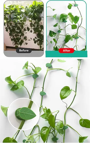Vista 5 de 40 clips de pared para plantas trepadoras, con 48 calcomanías adhesivas de fijación para decoración de jardín en interiores y exteriores (hoja verde)