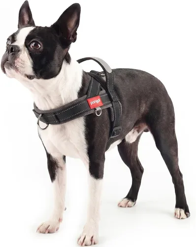 Vista 10 de Arnés para perro sin tirón con asa, chaleco reflectante ajustable Corgi, arnés para mascotas acolchado con malla de aire transpirable con clip