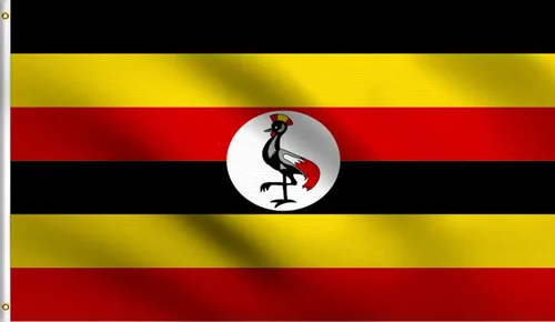 Vista 171 de DMSE - Bandera nacional beninesa beninesa de la República de África Occidental, 2 x 3 pies, 100 % poliéster, 100 % poliéster, resistente a los rayos