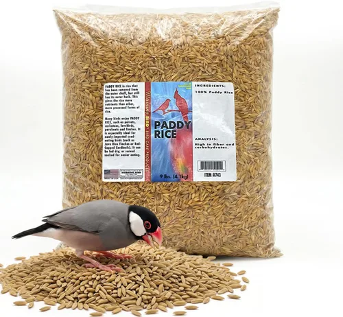 Vista 20 de Semillas de cáñamo Morning Bird, 4.5 lb