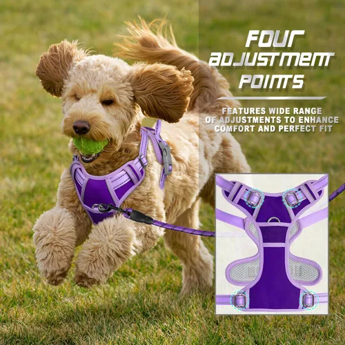 Vista 207 de BARKBAY - Arnés para perro sin tirones con clip frontal, material resistente y reflectante, asa de fácil control para pasear perros grandes