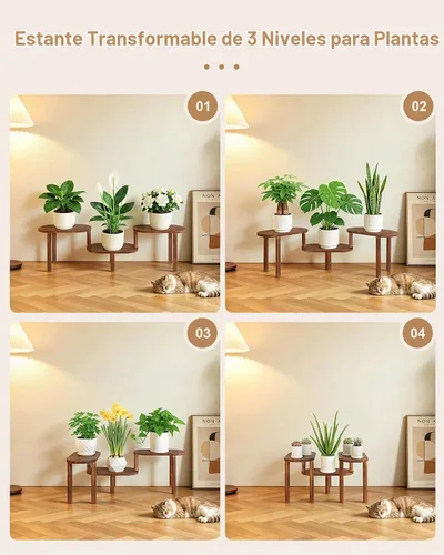 Vista 3 de Estante para plantas de esquina cóncava para interiores, soporte