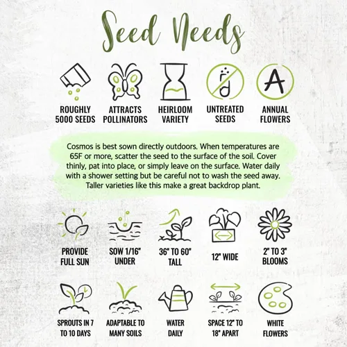 Vista 7 de Seed Needs Cosmos Seeds White Purity 5,000 Semillas Heirloom Paquete a granel