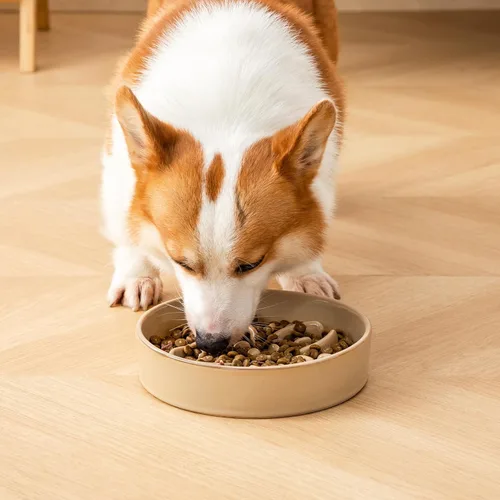 Vista 7 de vancasso Cuencos de alimentación lenta de cerámica para perros, cuencos de comida para perros con rompecabezas con laberinto floral, plato de comida