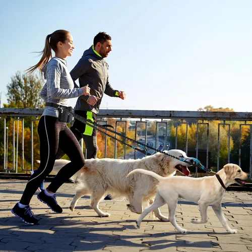 Vista 7 de PetAmi Correa de perro manos libres premium para 2 perros, correa de cinturón ajustable para caminar con perro, bolsa de accesorios de mochila
