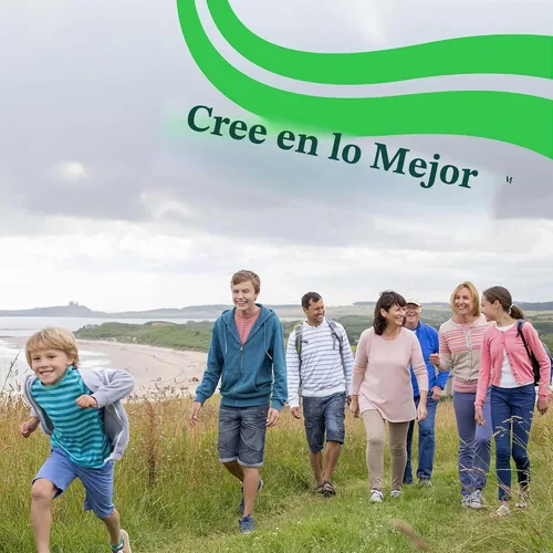 Vista 7 de Seeking Health Nutrientes hepáticos - Suplemento de salud para apoyo a la producción de glutatión - Soporte de función de células hepáticas