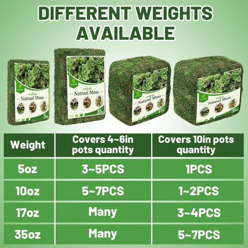 Vista 6 de Musgo verde natural de 10 onzas para plantas de interior, musgo real de bosque seco para manualidades, jardines de hadas artificiales, mosswall