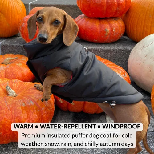 Vista 2 de DJANGO Abrigo de invierno reversible para perros con acolchado – Chaqueta de invierno cálida para perros y abrigo aislante repelente al agua