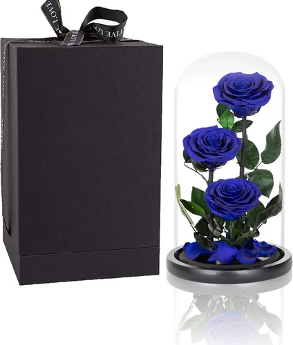 Vista 17 de Rosas preservadas, rosas negras en cúpula de cristal, medianas, flores preservadas para el día de la madre, regalos para mujeres Negro