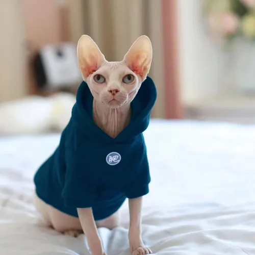 Vista 5 de Sphynx - Ropa para gatos – Sudadera con capucha y chaleco para gatos sin pelo, cornualles, gatitos calvos de Peter (mediano)