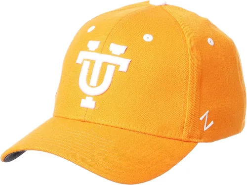 Vista 13 de ZHATS NCAA Vault - Sombrero elástico ajustado para hombre