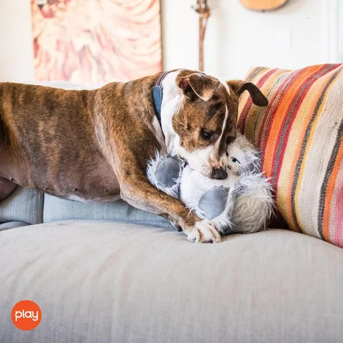 Vista 5 de P.L.A.Y. - Bonitos juguetes de peluche para perros, criatura mítica, juguete masticable duradero con temática de cuento de hadas, ideal