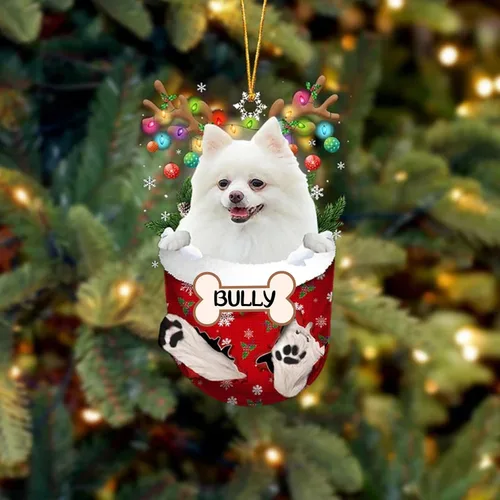 Vista 59 de IZI POD Affenpinscher Adorno de Navidad personalizado para perro, adorno de bolsillo de nieve para perro para árbol de Navidad, adorno acrílico