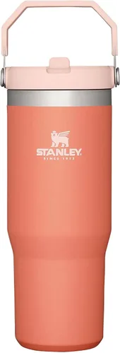 Vista 125 de STANLEY IceFlow 2.0 - Vaso con pajilla abatible con asa, 30 onzas, tapa giratoria y popote abatible, botella de agua a prueba de fugas, acero Tiza