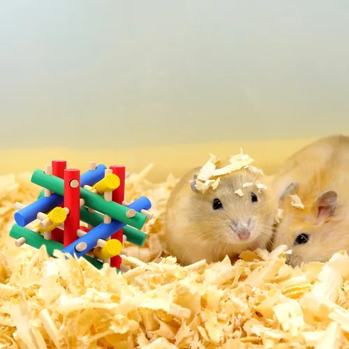 Vista 6 de Juguete masticable de conejo de 3 piezas, juguetes de chinchilla de madera para conejillos de indias, conejos de mascotas, hámster, erizo, animales