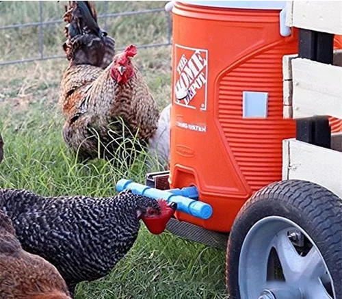 Vista 5 de DoubleWood Paquete de 12 tazas de riego para beber pollo de la máquina de beber de aves de corral completamente automáticas (12)