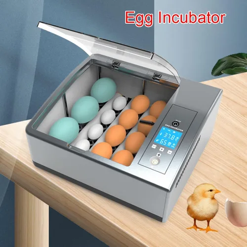 Vista 5 de Incubadora de 16 huevos de gallina, mini incubadora automática de temperatura, incubadora totalmente digital con control automático de temperatura