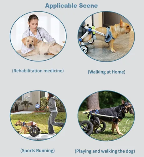Vista 4 de Silla de ruedas ajustable para perros Silla de ruedas portátil para patas traseras Carrito para perros Ayuda a mascotas pequeñas con patas