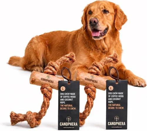 Vista 12 de Canophera Juguete masticable de madera y coco para perros para dientes y encías saludables, tamaño pequeño, todas las razas de perros