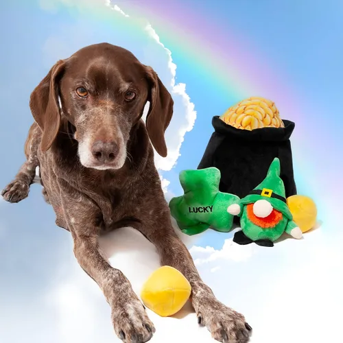 Vista 5 de Midlee Hide-A-Toy Pot of Gold - Juguete para perros del Día de San Patricio