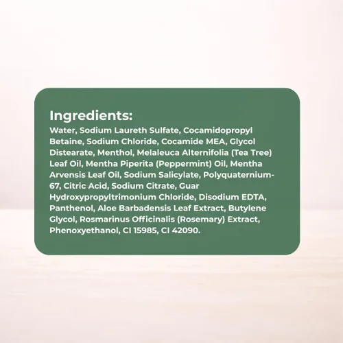 Vista 7 de Daeng Gi Meo Ri Tea Tree Cool Shampoo Cuidado del cuero cabelludo refrescante con árbol de té y aloe vera Refresca el cabello graso, hidrata