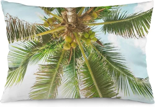 Vista 32 de Protector de almohada de playa con palmeras tropicales de 16 x 14 pulgadas, palmeras de playa, paisaje marino costero, decorativo, rectangular
